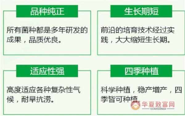 菌七妹种植加盟